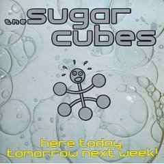 Taken from the album Heretoday, Tomorrow Next Week by Bjork