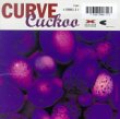 Taken from the album Cuckoo Lyrics by Curve