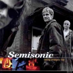 Taken from the album Feeling Strangely Fine by Semisonic