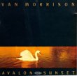 Taken from the album Avalon Sunset by Morrison Van