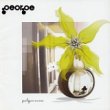 Taken from the album Polyserena by George