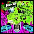 Taken from the album The Electric Spanking Of War Babies by George Clinton And The Funkadelics